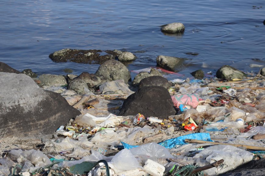 플라스틱 오염으로부터 필리핀, 동티모르 해양환경 지킨다