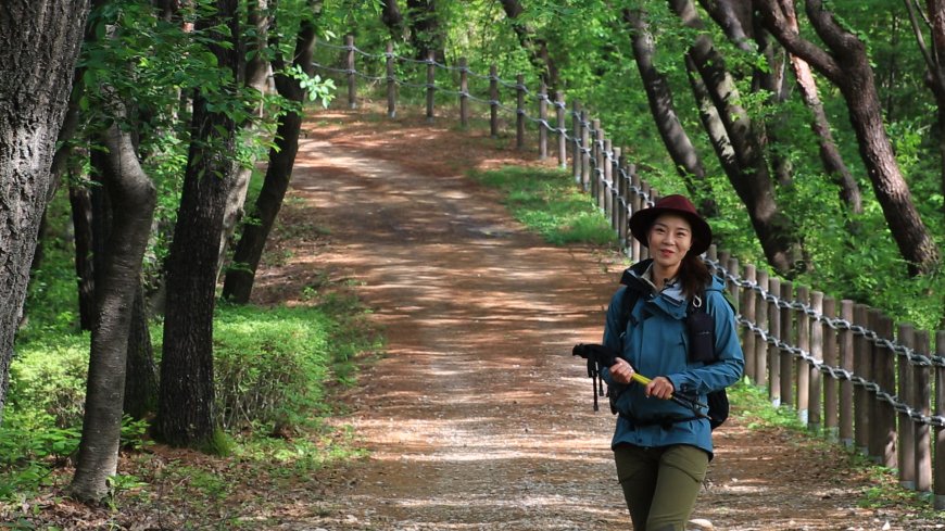 영상앨범 산 934회 성악가 장은 씨와 떠나는 봄빛 품은 바위산의 노래 상주 속리산국립공원 5월 5일 방송