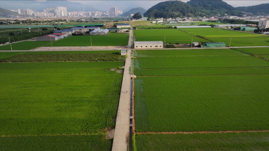 동네 한 바퀴 280회 열정으로 뛴다 – 경남 김해 7월 20일 방송