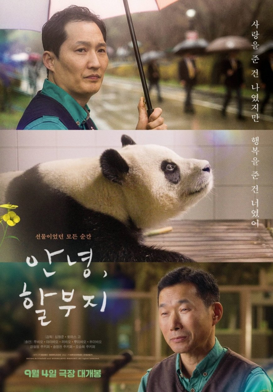 영화 '안녕, 할부지', CGV·롯데시네마·메가박스 등 9월 4일 전국 동시 개봉