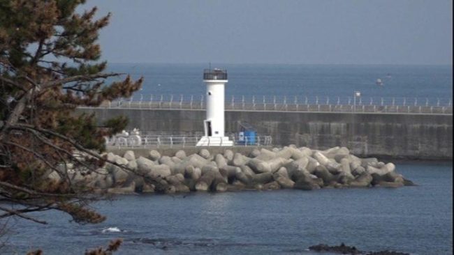 휴먼다큐 사노라면 720회 100세 엄마와 78세 아들의 황혼 빛 인생