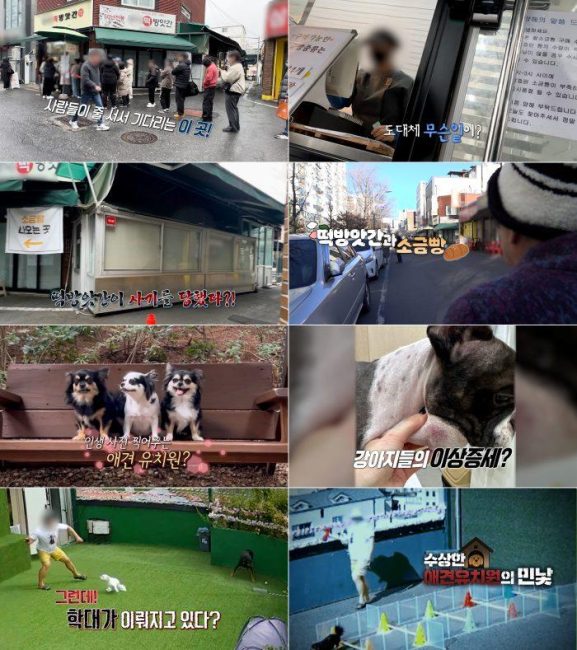‘실화탐사대’ 1000만 뷰 소금빵 떡방앗간 사기 사건과 애견 유치원 학대의 전말