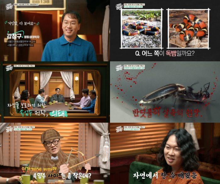 ‘취미는 과학’ 자연의 사기꾼 의태
