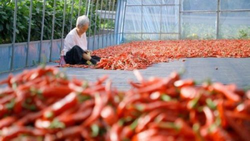 다큐 온 345회 호리 소와 아흔아홉 어머니