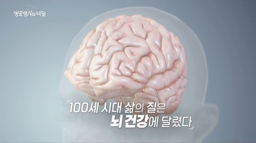 생로병사의 비밀 1002회 꽃보다 뇌 청춘 생로병사의 비밀 1002회 꽃보다 뇌 청춘