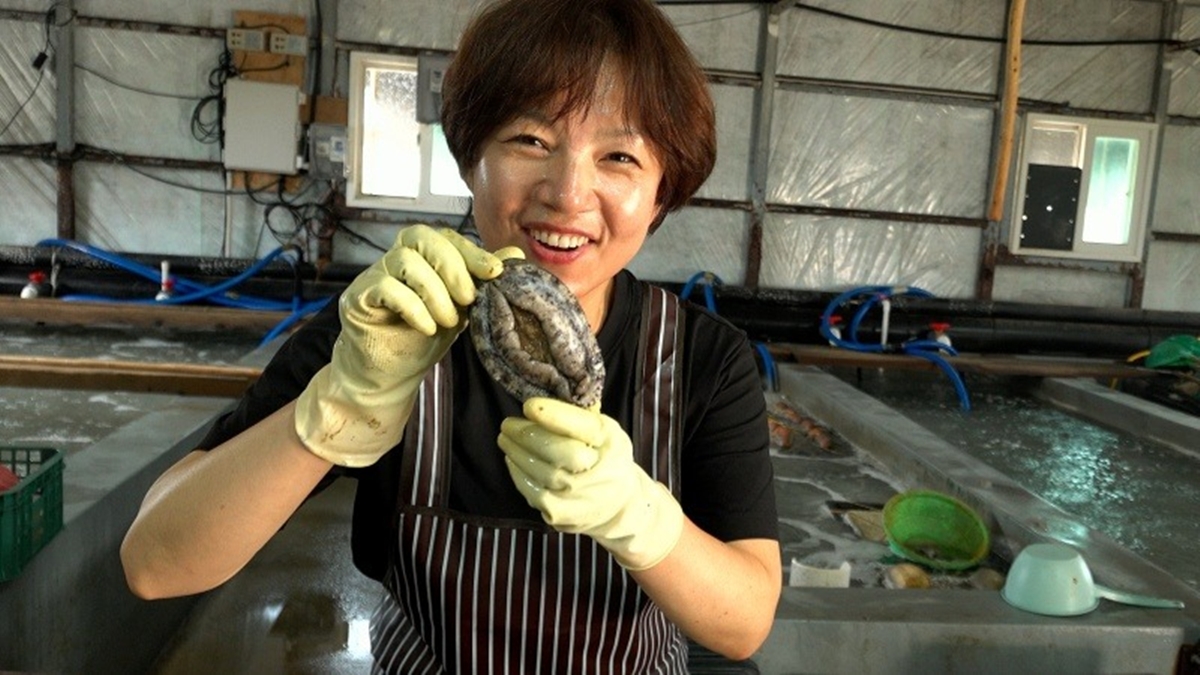 인간극장 6438회 전복 밭으로 돌아온 둘째 딸 1부