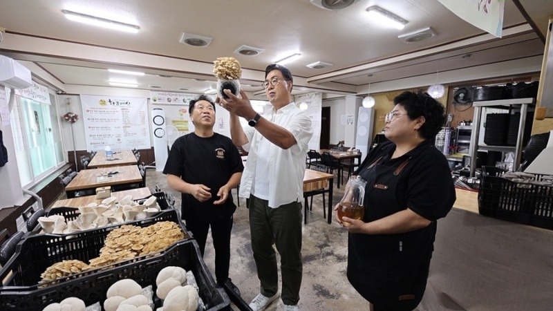 순애보로 탄생한 이색버섯 샤부샤부