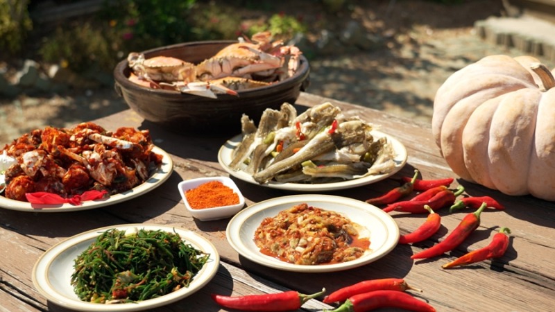 한국인의 밥상 773회 단풍보다 먼저, 붉은 가을을 맛보다