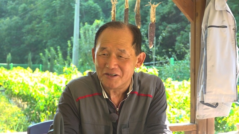 나는 자연인이다 730회 내가 만든 내 세상! 자연인 김종진