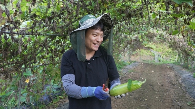 새콤달콤, 달콤살벌한 사과밭 고부
