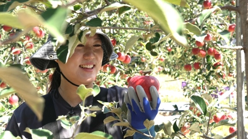 사과랑 너만 있으면 돼