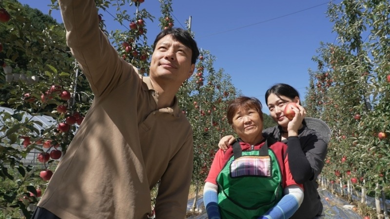새콤달콤, 달콤살벌한 사과밭 고부