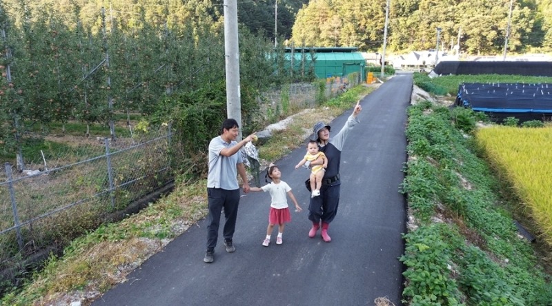 사랑도, 사과도 익어가네