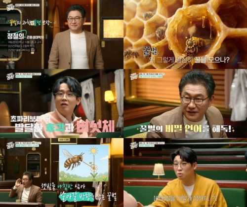 취미는 과학 77회 꿀벌, 왜 그렇게 열심히 꿀을 모으나